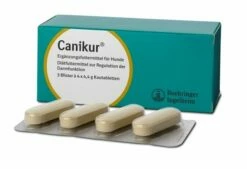 Boehringer Ingelheim Canikur Kautabletten Für Hunde 3 X 4 Tabletten