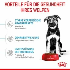 Royal Canin Maxi Puppy Für Welpen Großer Rassen 4 Kg Trockenfutter Für Hunde -ROYAL CANIN Verkäufe 07jpO32d7PMu 3182550402163 3005 4