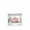 Royal Canin Recovery Hund Und Katze 12 X 195 G Recovery Dosen -ROYAL CANIN Verkäufe 0FKRQ8ovTE60 9003579307717 86 1
