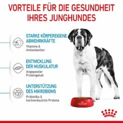 Royal Canin Giant Junior Welpenfutter Für Sehr Große Hunde 15 Kg Trockenfutter Für Hunde -ROYAL CANIN Verkäufe 1E6IYFKnHwuZ 3182550707077 3085 4