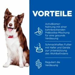 Hills Science Plan Canine Perfect Digestion Adult Medium Trockenfutter Für Hunde 14 Kg Huhn & Reis Trockenfutter -ROYAL CANIN Verkäufe 1MbqEigY9Tip 52742044156 3