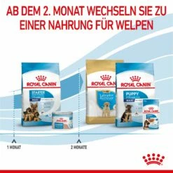 Royal Canin Maxi Starter Trockenfutter 15 Kg Trockenfutter Für Hunde -ROYAL CANIN Verkäufe 1lsWi6M1bH5j 3182550778787 2525 6