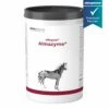 Almapharm Allequin Almazyme Fürs Pferd 1 Kg Almazyme Für Pferde -ROYAL CANIN Verkäufe 1qIXCLzt66BJ allequin Almazyme 1kg DO 588 294x145 1000x1000 drhoelter