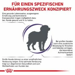 Royal Canin Adult Large Dogs Trockenfutter Für Hunde 13 Kg Trockenfutter Für Hunde -ROYAL CANIN Verkäufe 2GaLpfWhS75z 3182550925105 6587 3
