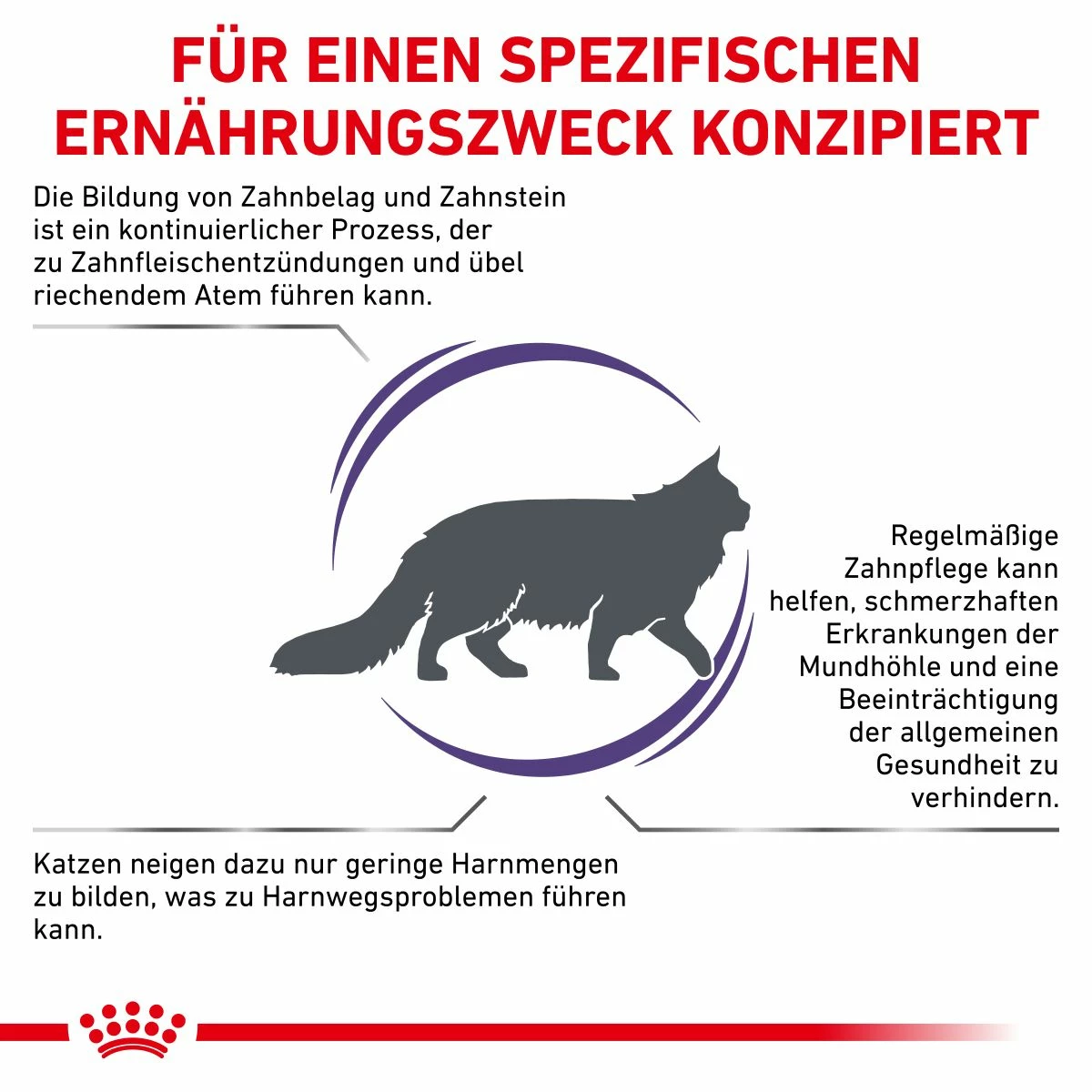 Royal Canin Dental Trockenfutter Für Katzen 1,5 Kg Trockenfutter Für Katzen 10 Royal Canin Dental Trockenfutter Für Katzen 1,5 Kg Trockenfutter Für Katzen – Bild 8