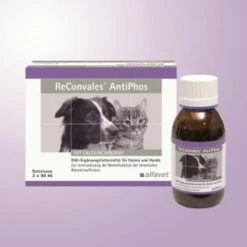 Alfavet ReConvales AntiPhos 3 X 90 Ml AntiPhos -ROYAL CANIN Verkäufe 38nQoUz5f1aO 5255077d68fade517c000026 2