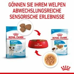 Royal Canin Mini Puppy Frischebeutel 12 X 85 G Frischebeutel Für Hunde -ROYAL CANIN Verkäufe 3hfjsGlB2NPS 9003579008201 4701 5