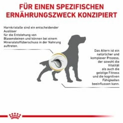Royal Canin Urinary S/O AGEING 7+ Hundefutter 1,5 Kg Trockenfutter Für Hunde -ROYAL CANIN Verkäufe 3sLlHHD0rRbJ 3182550896863 6332 8