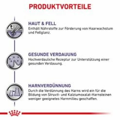 Royal Canin Dog Adult Frischebeutel Für Hunde 12 X 100 G Frischebeutel Für Hunde -ROYAL CANIN Verkäufe 44xOohpIr8Zi 9003579015445 4041 3