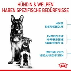 Royal Canin Maxi Starter Trockenfutter 15 Kg Trockenfutter Für Hunde -ROYAL CANIN Verkäufe 4XgyrCFkx0o4 3182550778787 2525 3