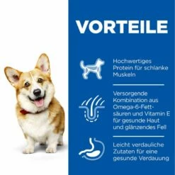 Hills Science Plan Canine Hund Adult Small & Mini Trockenfutter 6 Kg Trockenfutter Für Hunde -ROYAL CANIN Verkäufe 4xhksq7T5cjb 52742024769 3