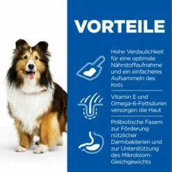 Hills Science Plan Canine Adult Sensitive Stomach & Skin Mit Huhn Trockenfutter 14 Kg Trockenfutter -ROYAL CANIN Verkäufe 51gEYtZGHHXc 52742026091 3