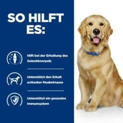 Hills J/d Trockenfutter Für Hunde 1,5 Trockenfutter Für Hunde -ROYAL CANIN Verkäufe 5QAG7019E6n6 52742918303 4