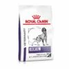 Royal Canin Dental Medium & Large Dogs Trockenfutter Für Hunde 6 Kg Trockenfutter Für Hunde -ROYAL CANIN Verkäufe 6WprbZTXCGYs 3182550925310 328 1
