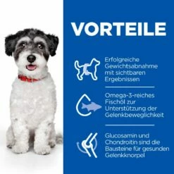 Hills Science Plan Perfect Weight + Active Mobility Small & Mini Adult Trockenfutter 6 Kg Trockenfutter Für Hunde -ROYAL CANIN Verkäufe 76MEJ32CLOYJ 52742052465 3