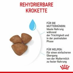 Royal Canin Mini Starter Trockenfutter 4 Kg Trockenfutter -ROYAL CANIN Verkäufe 7CbokL7nJ8fJ 3182550932707 2504 5