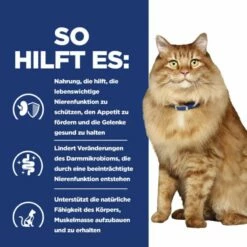 Hills K/d + Mobility Trockenfutter Für Katzen 1,5 Kg Trockenfutter Für Katzen -ROYAL CANIN Verkäufe 7ufW5ljPpriZ 52742049991 5