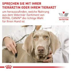 Royal Canin Urinary U/C Hundefutter 2 Kg Trockenfutter Für Hunde -ROYAL CANIN Verkäufe 834fsL3LatzA 3182550748315 479 7