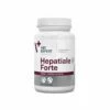 VetExpert Hepatiale Forte Small Breed & Cats 40 Kapseln -ROYAL CANIN Verkäufe 87BQaZSwR1UO 0209531 hepatiale forte small breed cats 550.jpeg