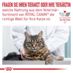 Royal Canin Skin & Coat Trockenfutter Für Katzen 1,5 Kg Trockenfutter Für Katzen -ROYAL CANIN Verkäufe 8uW0xrBPMj06 3182550939188 5493 3