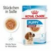 Royal Canin Medium Puppy Frischebeutel 10 X 140 G Frischebeutel Für Hunde -ROYAL CANIN Verkäufe 9CwYGVL34uZn 9003579008324 4711 1