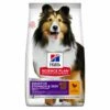 Hills Science Plan Canine Adult Sensitive Stomach & Skin Mit Huhn Trockenfutter 14 Kg Trockenfutter 1 Hills Science Plan Canine Adult Sensitive Stomach & Skin Mit Huhn Trockenfutter 14 Kg Trockenfutter -ROYAL CANIN Verkäufe 9GxCJiMOf35E 52742026091 1