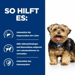 Hills L/D Dosenfutter Für Hunde 12 X 370 G Dosenfutter Für Hunde 12 Hills L/D Dosenfutter Für Hunde 12 X 370 G Dosenfutter Für Hunde -ROYAL CANIN Verkäufe A2U2ODiY25eI 52742053189 4