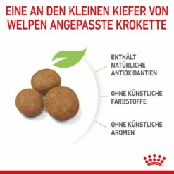 Royal Canin Maxi Puppy Für Welpen Großer Rassen 4 Kg Trockenfutter Für Hunde -ROYAL CANIN Verkäufe AQ7yIdjnvTS7 3182550402163 3005 5