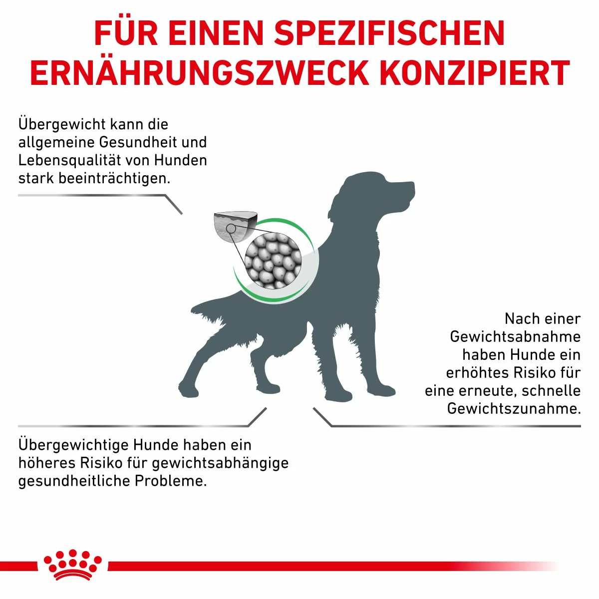 Royal Canin Satiety Weight Management Trockenfutter Für Hunde 1,5 Kg Trockenfutter Für Hunde 4 Royal Canin Satiety Weight Management Trockenfutter Für Hunde 1,5 Kg Trockenfutter Für Hunde – Bild 2