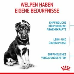 Royal Canin Maxi Puppy Für Welpen Großer Rassen 4 Kg Trockenfutter Für Hunde -ROYAL CANIN Verkäufe DCuXITVIJ5kZ 3182550402163 3005 3