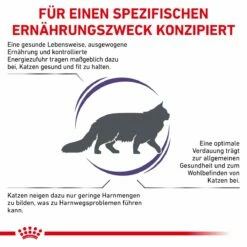 Royal Canin Adult Trockenfutter Für Katzen 2 Kg Trockenfutter Für Katzen -ROYAL CANIN Verkäufe Dbl9MLYceR5M 3182550799690 6238 3