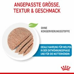 Royal Canin Starter Ultra Soft Mousse Für Welpen 12 X 195 G -ROYAL CANIN Verkäufe DzSABroMWOqm 9003579020036 4300 3