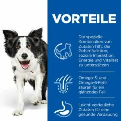 Hills Science Plan Canine Senior Vitality Medium Mature Adult 7+ Trockenfutter Mit Huhn & Reis 14 Kgr Trockenfutter Mit Huhn & Reis -ROYAL CANIN Verkäufe Hz7sn5qSlYa9 52742026107 3