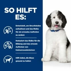 Hills Urinary Care C/d Multicare Trockenfutter Für Hunde 1,5 Kg Trockenfutter Für Hunde -ROYAL CANIN Verkäufe IAJMsAlwJ8mc 52742052144 4