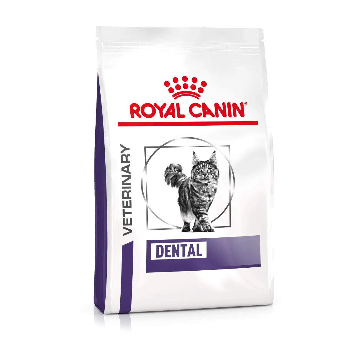 Royal Canin Dental Trockenfutter Für Katzen 1,5 Kg Trockenfutter Für Katzen 3 Royal Canin Dental Trockenfutter Für Katzen 1,5 Kg Trockenfutter Für Katzen