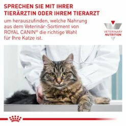 Royal Canin Cat Neutered Balance Frischebeutel 12 X 85 G Frischebeutel Für Katzen -ROYAL CANIN Verkäufe Id5zb55D8gB4 9003579015643 4036 9