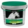 EQUISTRO Mega Base Fürs Pferd 3 Kg Mega Base -ROYAL CANIN Verkäufe J1wwcbNxmfqx 1 18195846aa6a0ec66