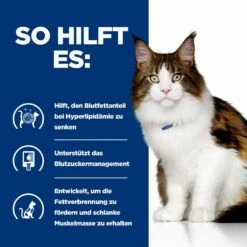 Hills Feline W/d Multi-Benefit Huhn Frischebeutel Für Katzen 12 X 85 G Frischebeutel Mit Huhn 11 Hills Feline W/d Multi-Benefit Huhn Frischebeutel Für Katzen 12 X 85 G Frischebeutel Mit Huhn -ROYAL CANIN Verkäufe JY06DmmSsH6W 52742053783 4