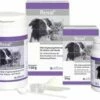 Alfavet Renal Combi Für Katzen Und Hunde 50 G Dose 1 Alfavet Renal Combi Für Katzen Und Hunde 50 G Dose -ROYAL CANIN Verkäufe Jhl8uiNoSkLd 5358d03d61257923778b4568 0