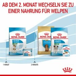 Royal Canin Mini Starter Trockenfutter 4 Kg Trockenfutter -ROYAL CANIN Verkäufe KzdYqYx8xEMe 3182550932707 2504 6