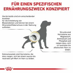 Royal Canin Urinary S/O Trockenfutter Für Hunde 2 Kg Trockenfutter Für Hunde -ROYAL CANIN Verkäufe LLNZrt4ZmSrp 3182550896856 298 9