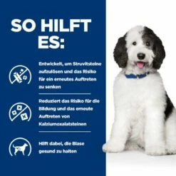 Hills Urinary Care C/d Multicare Ragout In Dosen Für Hunde 12 X 354 G Dosenfutter Für Hunde 12 Hills Urinary Care C/d Multicare Ragout In Dosen Für Hunde 12 X 354 G Dosenfutter Für Hunde -ROYAL CANIN Verkäufe LcjiTmbYQo0n 52742021324 4