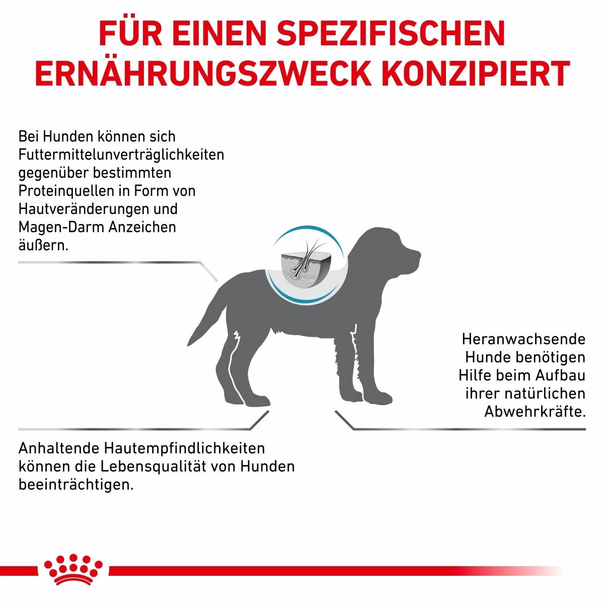 Royal Canin Hypoallergenic Puppy Trockenfutter Für Hunde 1,5 Kg Trockenfutter Für Hunde 9 Royal Canin Hypoallergenic Puppy Trockenfutter Für Hunde 1,5 Kg Trockenfutter Für Hunde – Bild 7