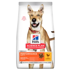 Hills Science Plan Canine Adult Performance Huhn Trockenfutter Für Hunde 14 Kg Trockenfutter