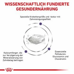 Royal Canin Dental Medium & Large Dogs Trockenfutter Für Hunde 6 Kg Trockenfutter Für Hunde -ROYAL CANIN Verkäufe LreIObweoSPj 3182550925310 328 4