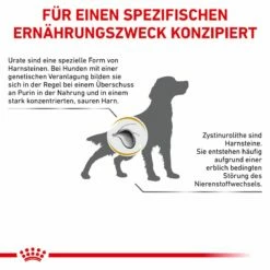 Royal Canin Urinary U/C Hundefutter 2 Kg Trockenfutter Für Hunde -ROYAL CANIN Verkäufe Lvwktdpxa8qu 3182550748315 479 8