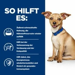 Hills I/d Stress Mini ActivBiome+ Ragout In Dosen Für Hunde 24 X 156 G Ragout In Dosen Für Hunde -ROYAL CANIN Verkäufe M4WBdhEtav6p 52742039336 4