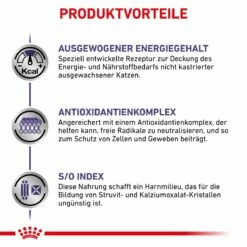 Royal Canin Adult Trockenfutter Für Katzen 2 Kg Trockenfutter Für Katzen -ROYAL CANIN Verkäufe MQfz9TOouCGB 3182550799690 6238 5