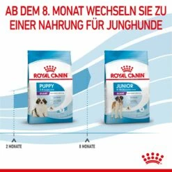Royal Canin Gigant Puppy Trockenfutter Für Welpen Sehr Großer Rassen 3,5 Kg Trockenfutter Für Hunde (neues Design) -ROYAL CANIN Verkäufe NB6eqVrEEbbW 3182550707046 3075 6