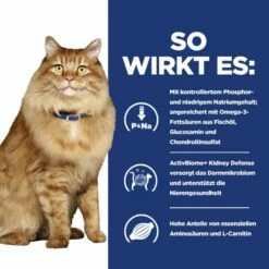 Hills K/d + Mobility Trockenfutter Für Katzen 1,5 Kg Trockenfutter Für Katzen -ROYAL CANIN Verkäufe NyzqGCUHVVlG 52742049991 4